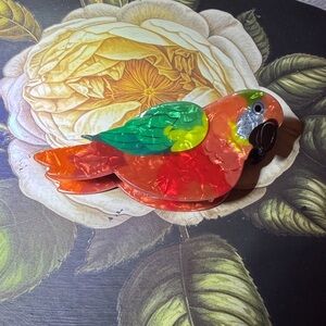 Acetate Acrylic Parot  🦜 hair claw